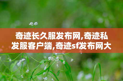 奇迹长久服发布网,奇迹私发服客户端,奇迹sf发布网大全,奇迹私发服客户端