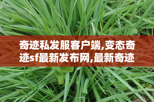 奇迹私发服客户端,变态奇迹sf最新发布网,最新奇迹私服网,变态奇迹sf最新发布网