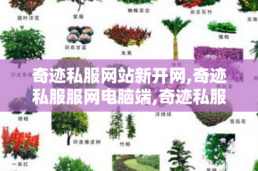 奇迹私服网站新开网,奇迹私服服网电脑端,奇迹私服服网,奇迹私服服网电脑端