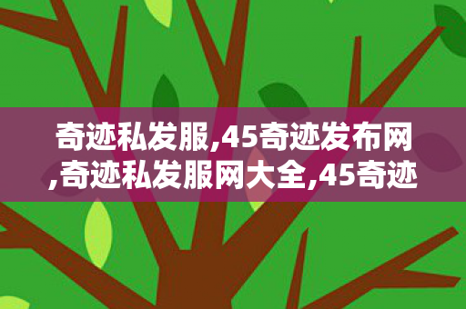 奇迹私发服,45奇迹发布网,奇迹私发服网大全,45奇迹发布网