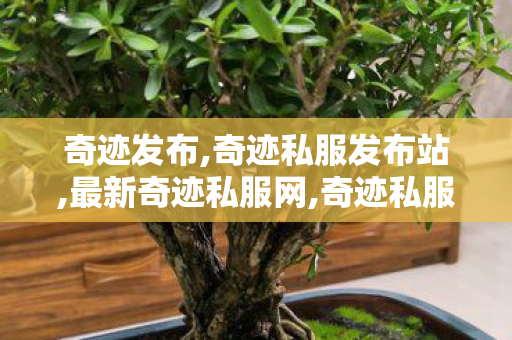奇迹发布,奇迹私服发布站,最新奇迹私服网,奇迹私服发布站