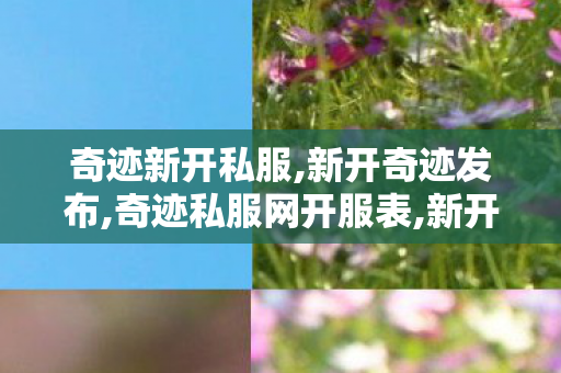 奇迹新开私服,新开奇迹发布,奇迹私服网开服表,新开奇迹发布
