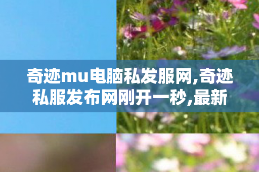 奇迹mu电脑私发服网,奇迹私服发布网刚开一秒,最新mu奇迹sf发布,奇迹私服发布网刚开一秒