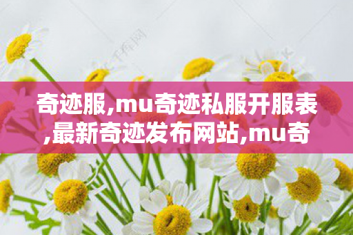 奇迹服,mu奇迹私服开服表,最新奇迹发布网站,mu奇迹私服开服表