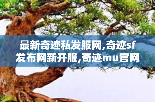 最新奇迹私发服网,奇迹sf发布网新开服,奇迹mu官网首页,奇迹sf发布网新开服
