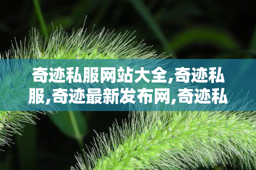 奇迹私服网站大全,奇迹私服,奇迹最新发布网,奇迹私服