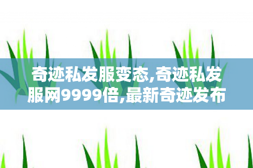 奇迹私发服变态,奇迹私发服网9999倍,最新奇迹发布网新开服,奇迹私发服网9999倍