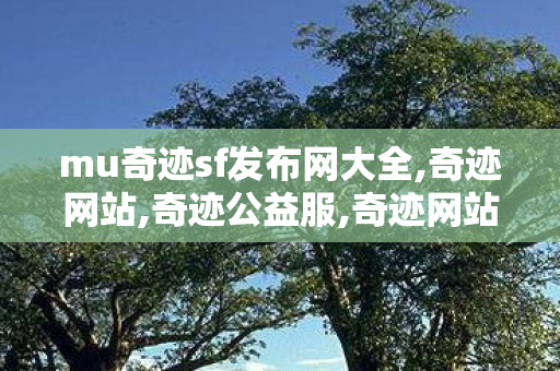 mu奇迹sf发布网大全,奇迹网站,奇迹公益服,奇迹网站