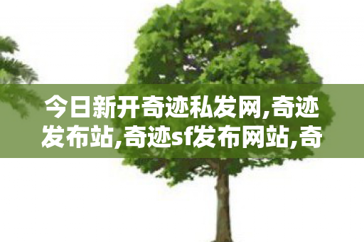 今日新开奇迹私发网,奇迹发布站,奇迹sf发布网站,奇迹发布站