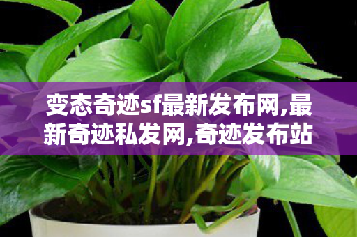 变态奇迹sf最新发布网,最新奇迹私发网,奇迹发布站,最新奇迹私发网