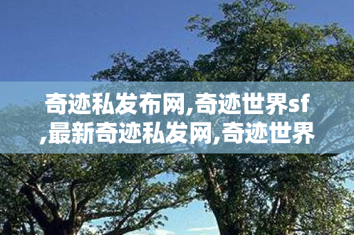 奇迹私发布网,奇迹世界sf,最新奇迹私发网,奇迹世界sf