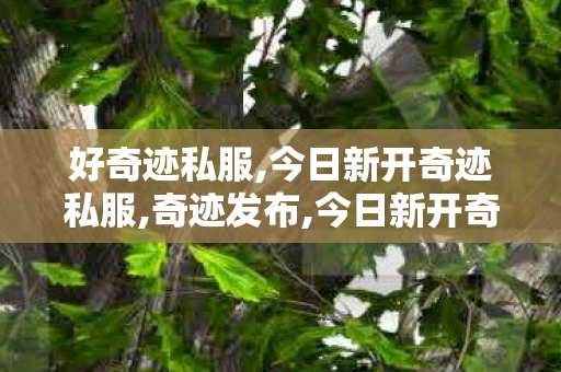 好奇迹私服,今日新开奇迹私服,奇迹发布,今日新开奇迹私服