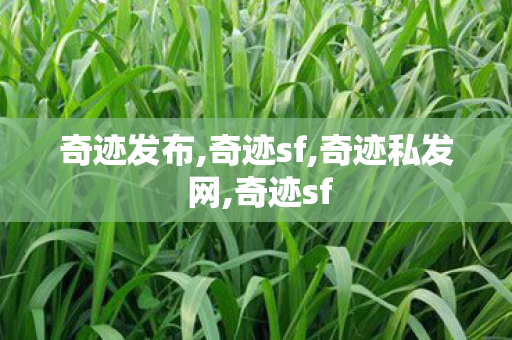 奇迹发布,奇迹sf,奇迹私发 网,奇迹sf