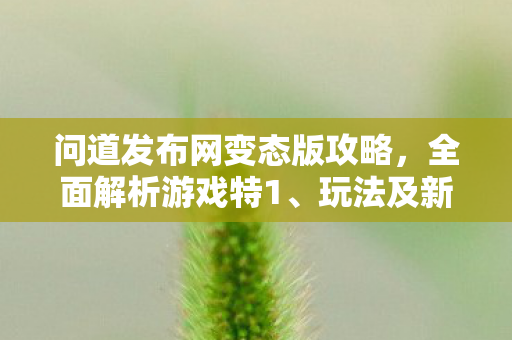 问道发布网变态版攻略，全面解析游戏特1、玩法及新手必读指南