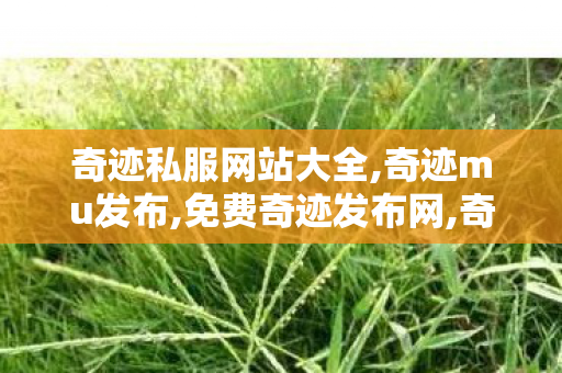 奇迹私服网站大全,奇迹mu发布,免费奇迹发布网,奇迹mu发布