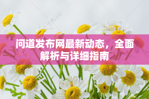 问道发布网最新动态，全面解析与详细指南