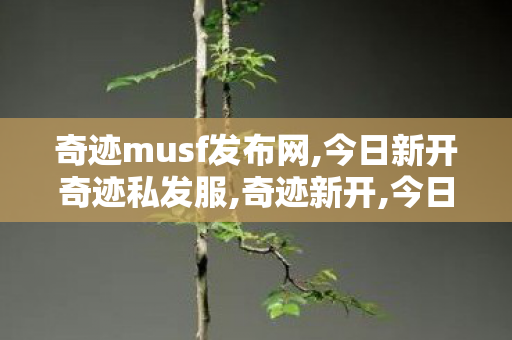 奇迹musf发布网,今日新开奇迹私发服,奇迹新开,今日新开奇迹私发服