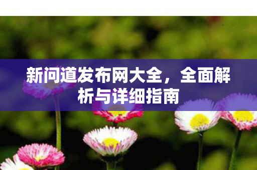 新问道发布网大全，全面解析与详细指南