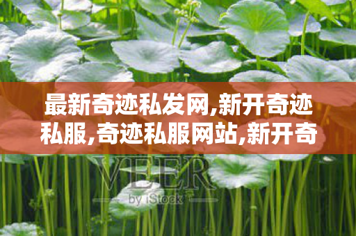最新奇迹私发网,新开奇迹私服,奇迹私服网站,新开奇迹私服