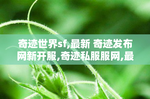 奇迹世界sf,最新 奇迹发布网新开服,奇迹私服服网,最新 奇迹发布网新开服