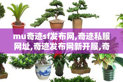mu奇迹sf发布网,奇迹私服网址,奇迹发布网新开服,奇迹私服网址