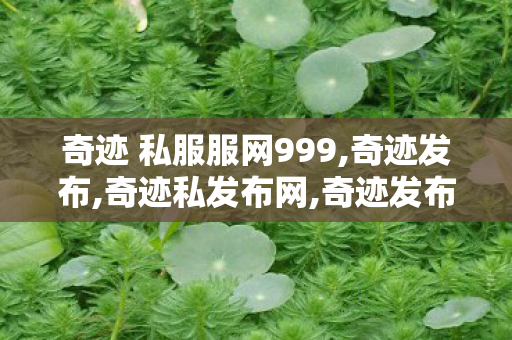 奇迹 私服服网999,奇迹发布,奇迹私发布网,奇迹发布