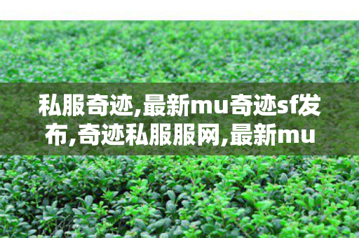 私服奇迹,最新mu奇迹sf发布,奇迹私服服网,最新mu奇迹sf发布