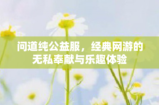 问道纯公益服，经典网游的无私奉献与乐趣体验