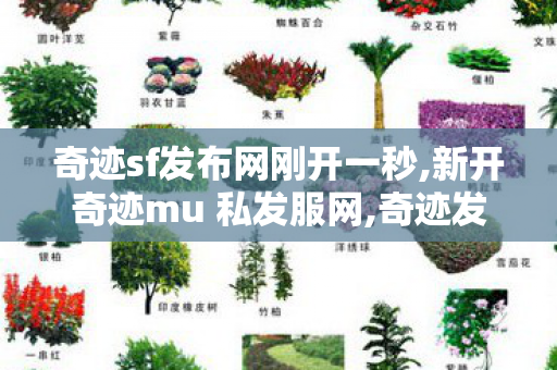 奇迹sf发布网刚开一秒,新开奇迹mu 私发服网,奇迹发布网,新开奇迹mu 私发服网