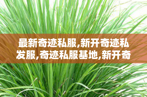 最新奇迹私服,新开奇迹私发服,奇迹私服基地,新开奇迹私发服