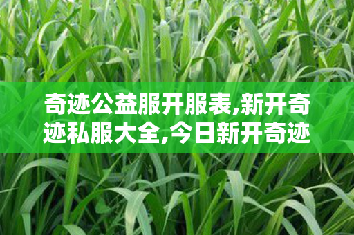 奇迹公益服开服表,新开奇迹私服大全,今日新开奇迹sf发布网站,新开奇迹私服大全
