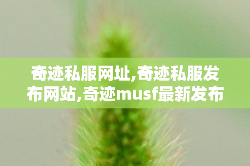 奇迹私服网址,奇迹私服发布网站,奇迹musf最新发布网,奇迹私服发布网站