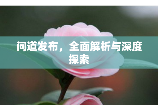 问道发布，全面解析与深度探索