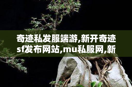 奇迹私发服端游,新开奇迹sf发布网站,mu私服网,新开奇迹sf发布网站
