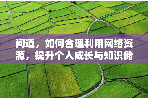 问道，如何合理利用网络资源，提升个人成长与知识储备