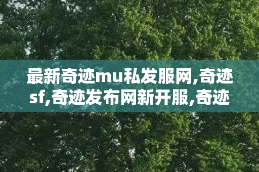 最新奇迹mu私发服网,奇迹sf,奇迹发布网新开服,奇迹sf