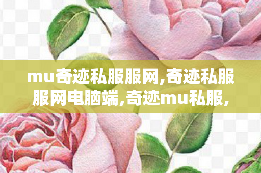 mu奇迹私服服网,奇迹私服服网电脑端,奇迹mu私服,奇迹私服服网电脑端