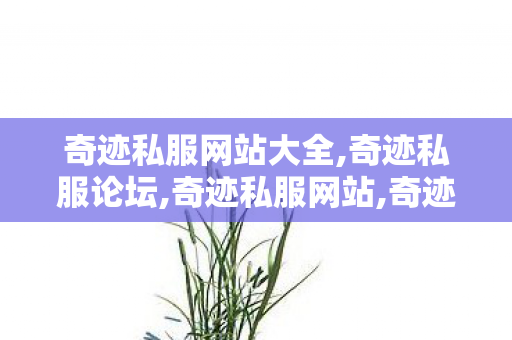 奇迹私服网站大全,奇迹私服论坛,奇迹私服网站,奇迹私服论坛