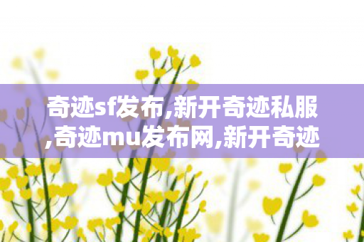奇迹sf发布,新开奇迹私服,奇迹mu发布网,新开奇迹私服