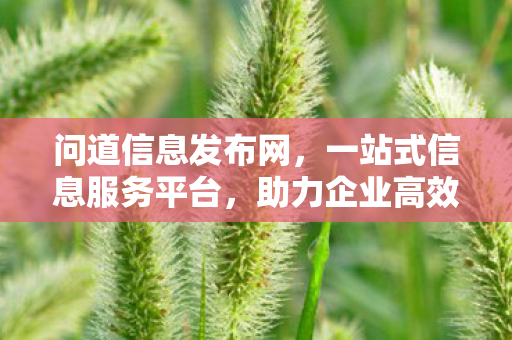 问道信息发布网，一站式信息服务平台，助力企业高效传播与精准营销
