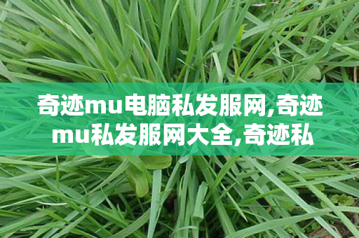 奇迹mu电脑私发服网,奇迹 mu私发服网大全,奇迹私服服网999,奇迹 mu私发服网大全