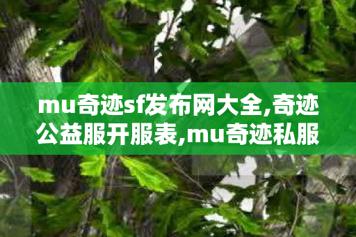 mu奇迹sf发布网大全,奇迹公益服开服表,mu奇迹私服服网,奇迹公益服开服表
