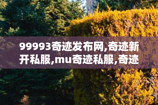 99993奇迹发布网,奇迹新开私服,mu奇迹私服,奇迹新开私服