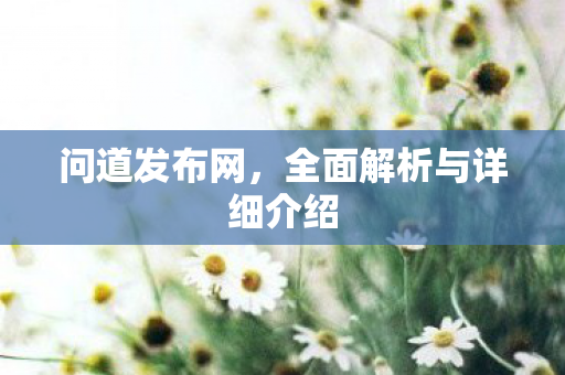 问道发布网，全面解析与详细介绍