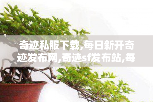 奇迹私服下载,每日新开奇迹发布网,奇迹sf发布站,每日新开奇迹发布网
