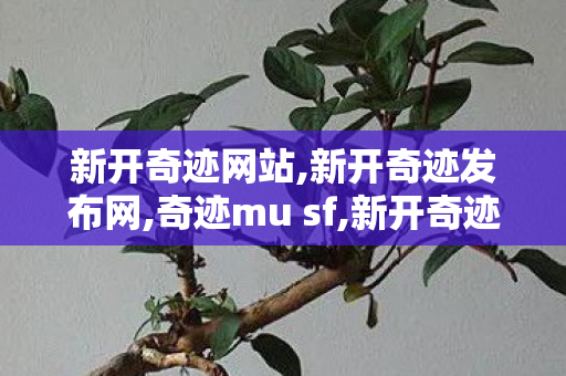 新开奇迹网站,新开奇迹发布网,奇迹mu sf,新开奇迹发布网