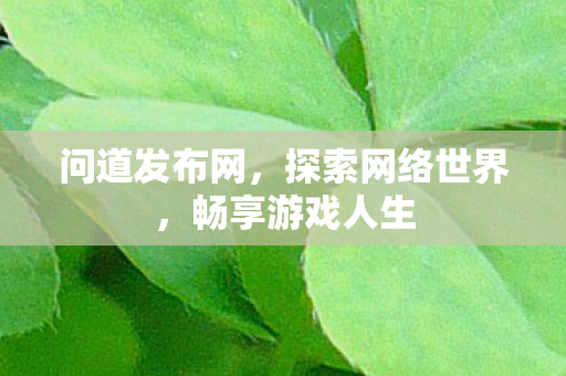 问道发布网，探索网络世界，畅享游戏人生