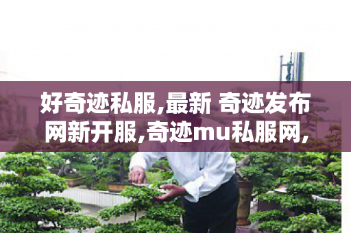 好奇迹私服,最新 奇迹发布网新开服,奇迹mu私服网,最新 奇迹发布网新开服