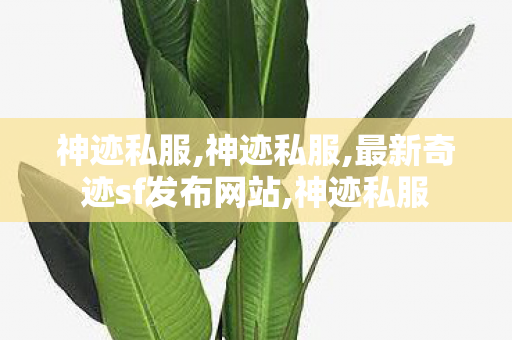 神迹私服,神迹私服,最新奇迹sf发布网站,神迹私服