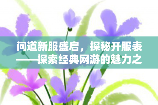 问道新服盛启，探秘开服表——探索经典网游的魅力之旅